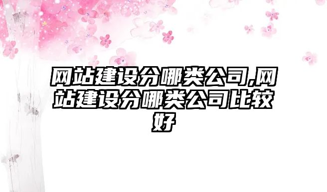 網(wǎng)站建設分哪類公司,網(wǎng)站建設分哪類公司比較好